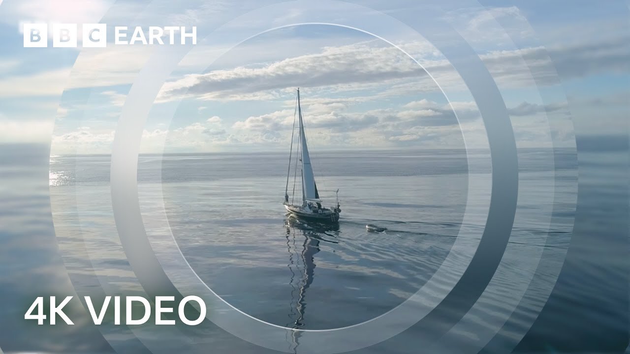 Exploring the Open Ocean | North Atlantic: The Dark Ocean | 4K UHD | BBC Earth