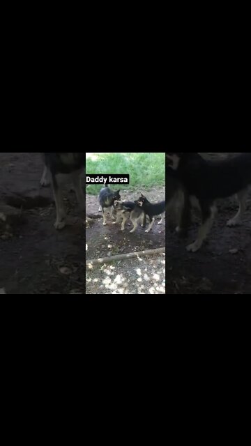 We Are Family #shorts