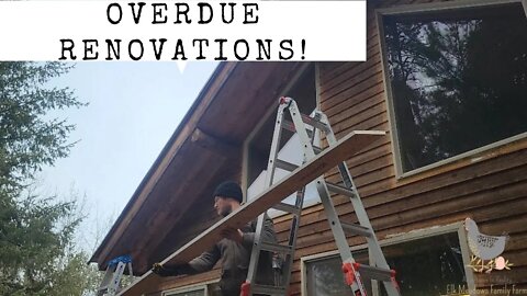 Too COLD for GARDENING, so I attempt some OVERDUE renovations | Adventures In Reality