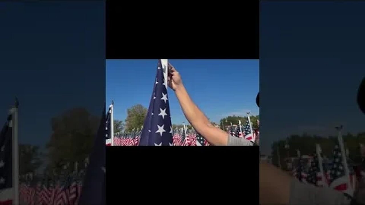 FIELD OF FLAGS