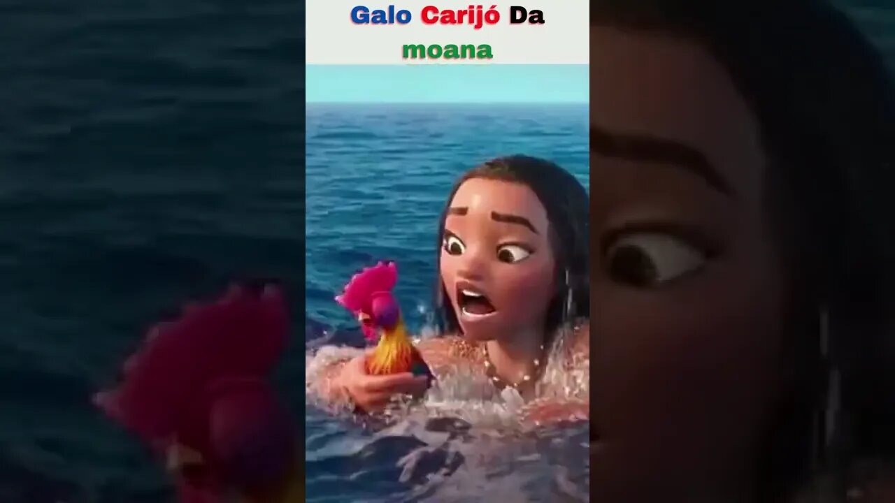 👉🐔Rooster Carijó Da Moana /Rooster Carijó Da Moana /Gallo Carijó Da Moana #short