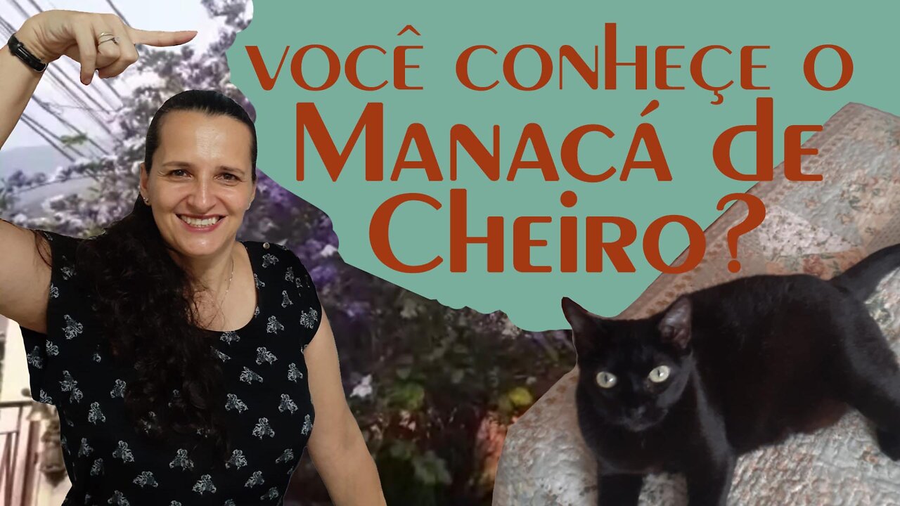 MANACÁ DE CHEIRO