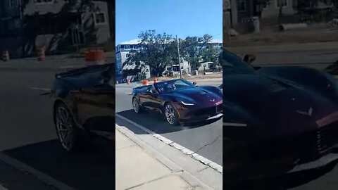 Gang Stalking Perp Walk 01/30/2022