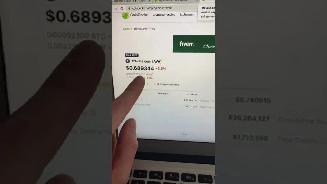 3 ALT COINS FOR THIS BEAR MARKET!