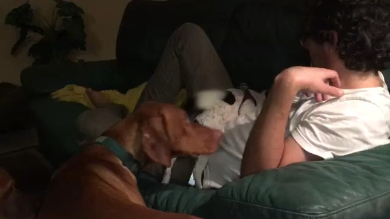 Begging for love