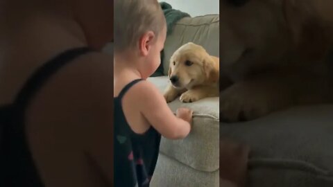 Little girl kissing puppy dog ❤️💜😍🥰