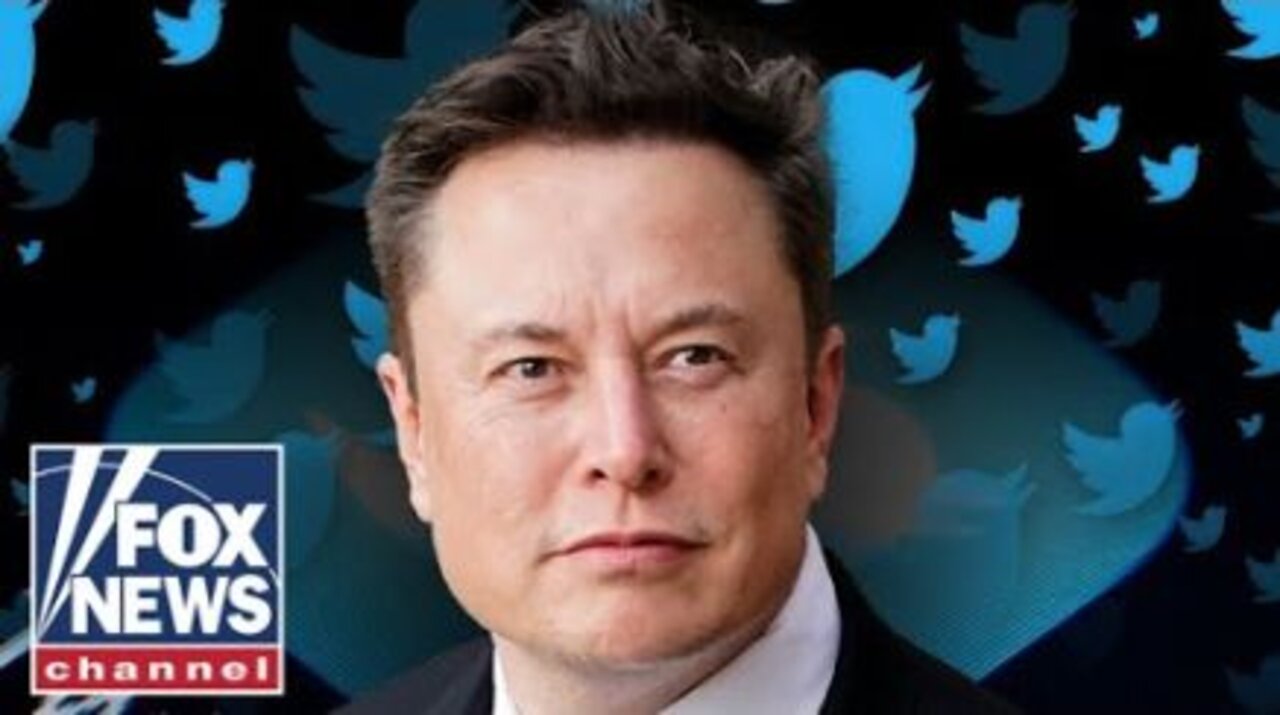 'The Five' react to Elon Musk putting Twitter takeover 'on hold'