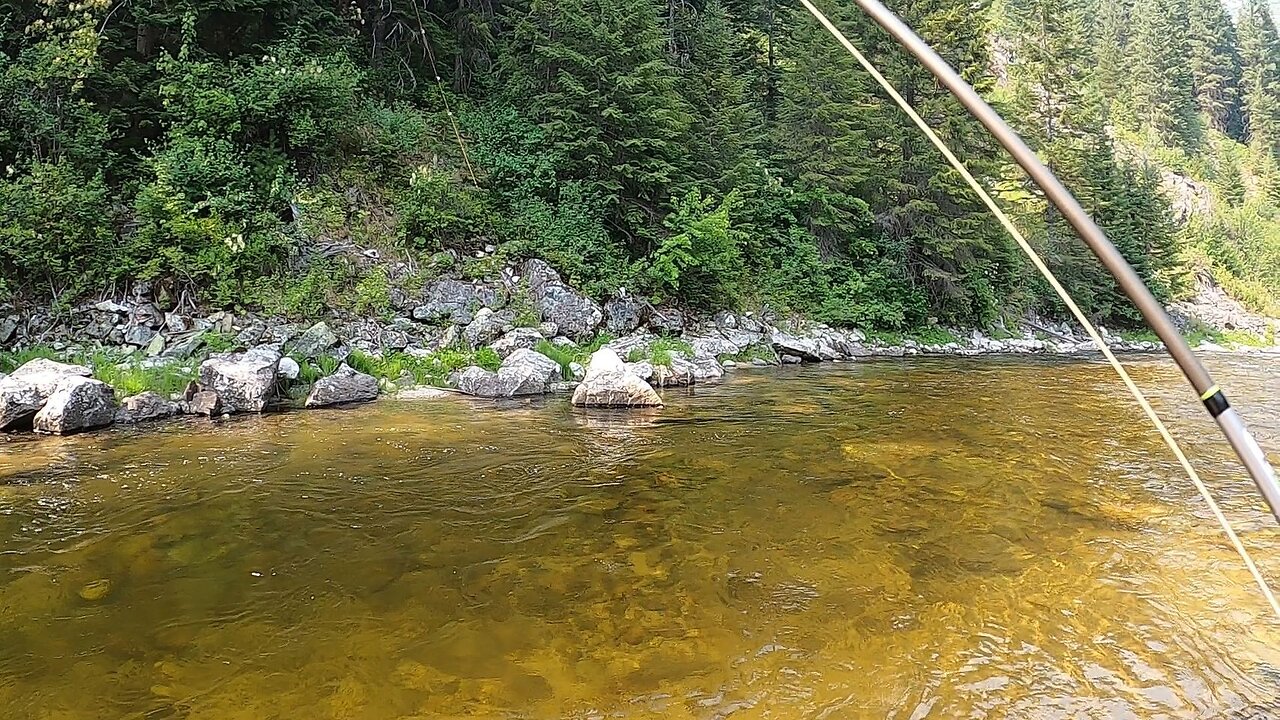 This stream wasn't easy to fish but it was definitely worth the effort!