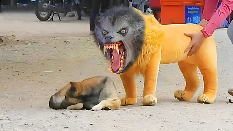 Ultimate Dog Prank Compilation: Troll, Fake Lion, Fake Tiger, and Huge Box Pranks!