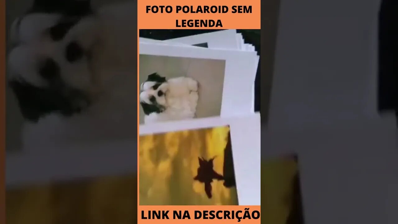Foto Polaroid sem legenda, com legenda ou ima