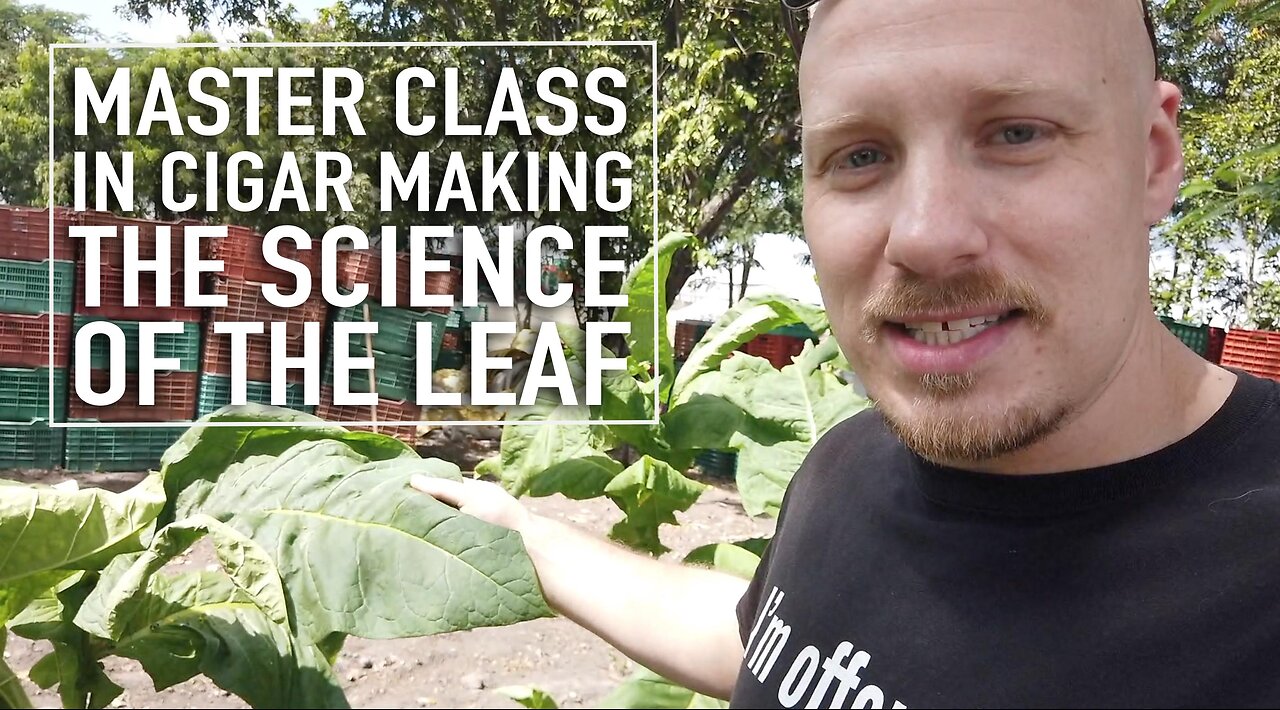 Master Class In Cigar Making: The Science of the Leaf