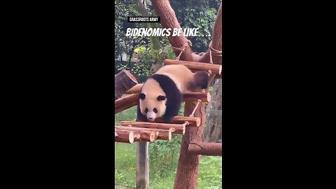 Bidenomics Be Like….