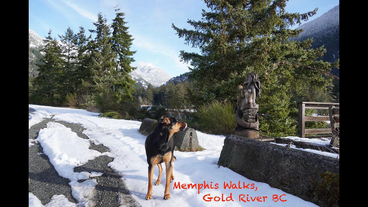 Memphis Walks, Gold River BC