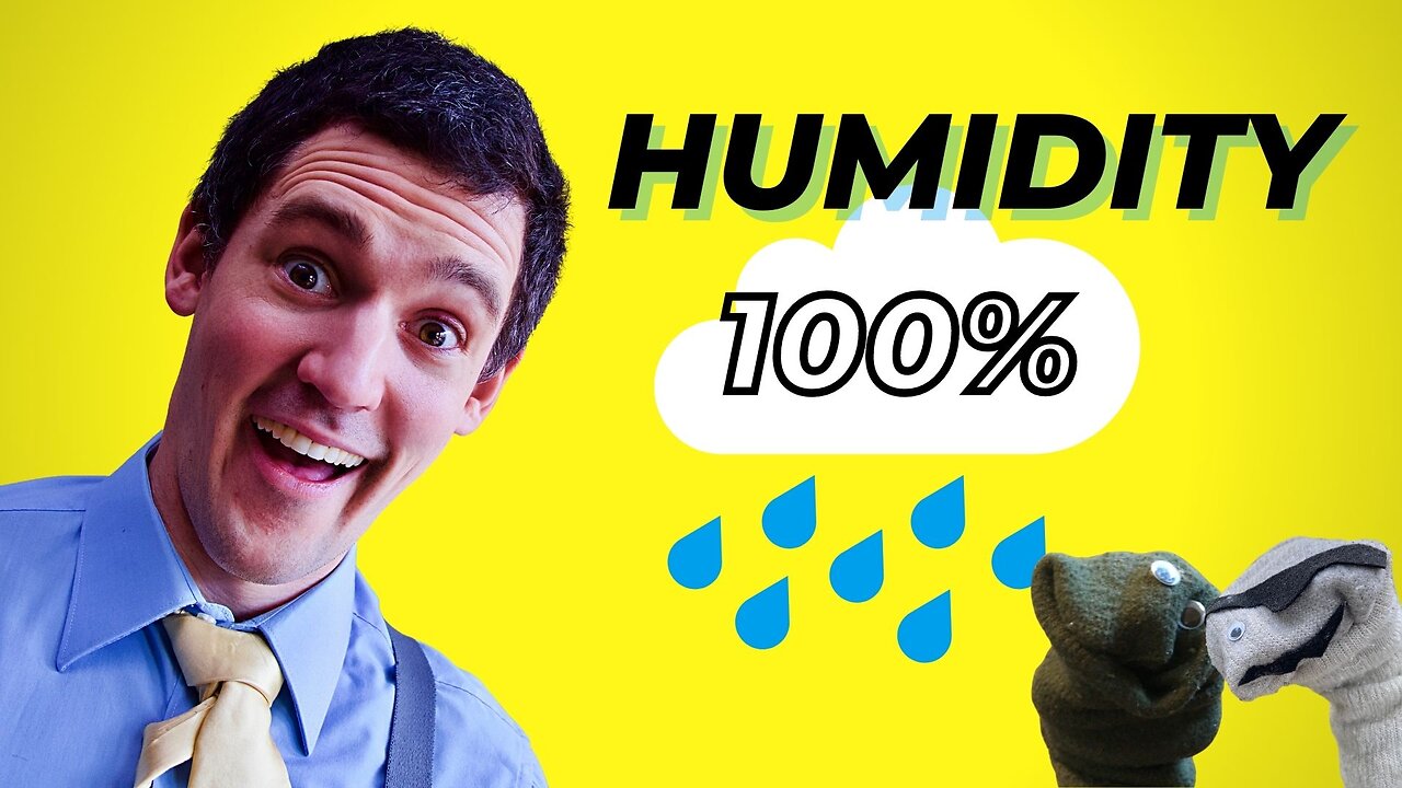 Humidity | The Ultimate Guide | How Humid is It in the South?