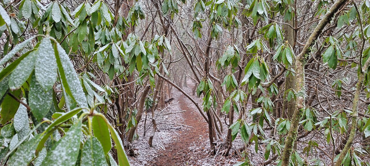 Appalachian Trail 4