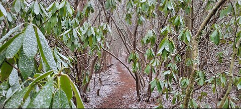 Appalachian Trail 4