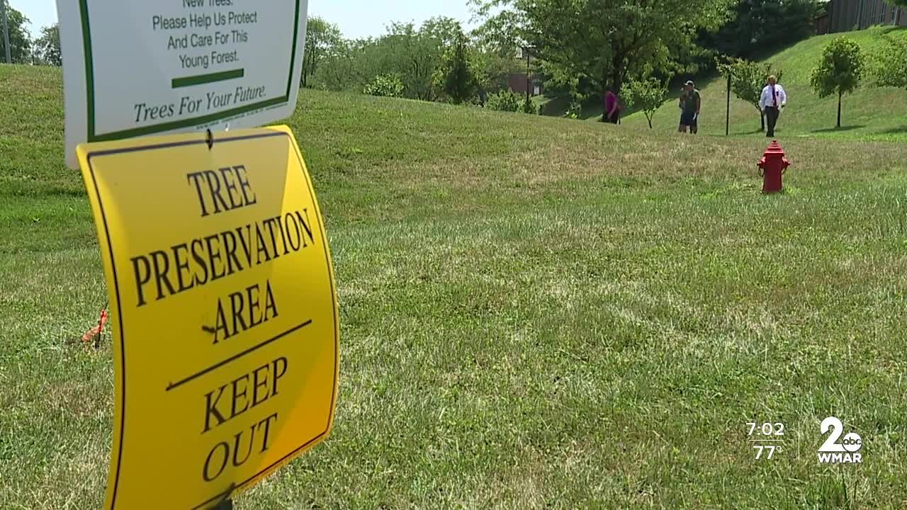 Conservationists claim Baltimore County butchered 1,000 trees