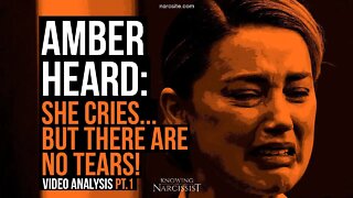 Amber Heard : She Cries But There Are No Tears Part 1- Video Analysis
