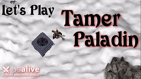 Let's Play a Paladin Tamer!