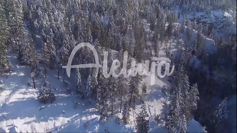 Aleluya Hallelujah -AVIVAMIENTO