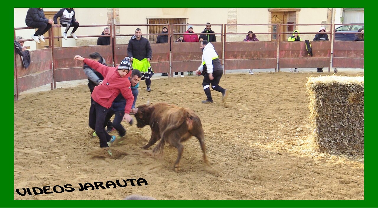 BISIMBRE ( ZARAGOZA ) MATINAL BECERRAS PLAZA ( SABADO 10 DICIEMBRE 2022 ) EL RUISEÑOR