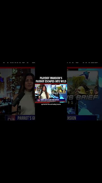 Parrot escapes from Playboy Mansion, eluding L.A