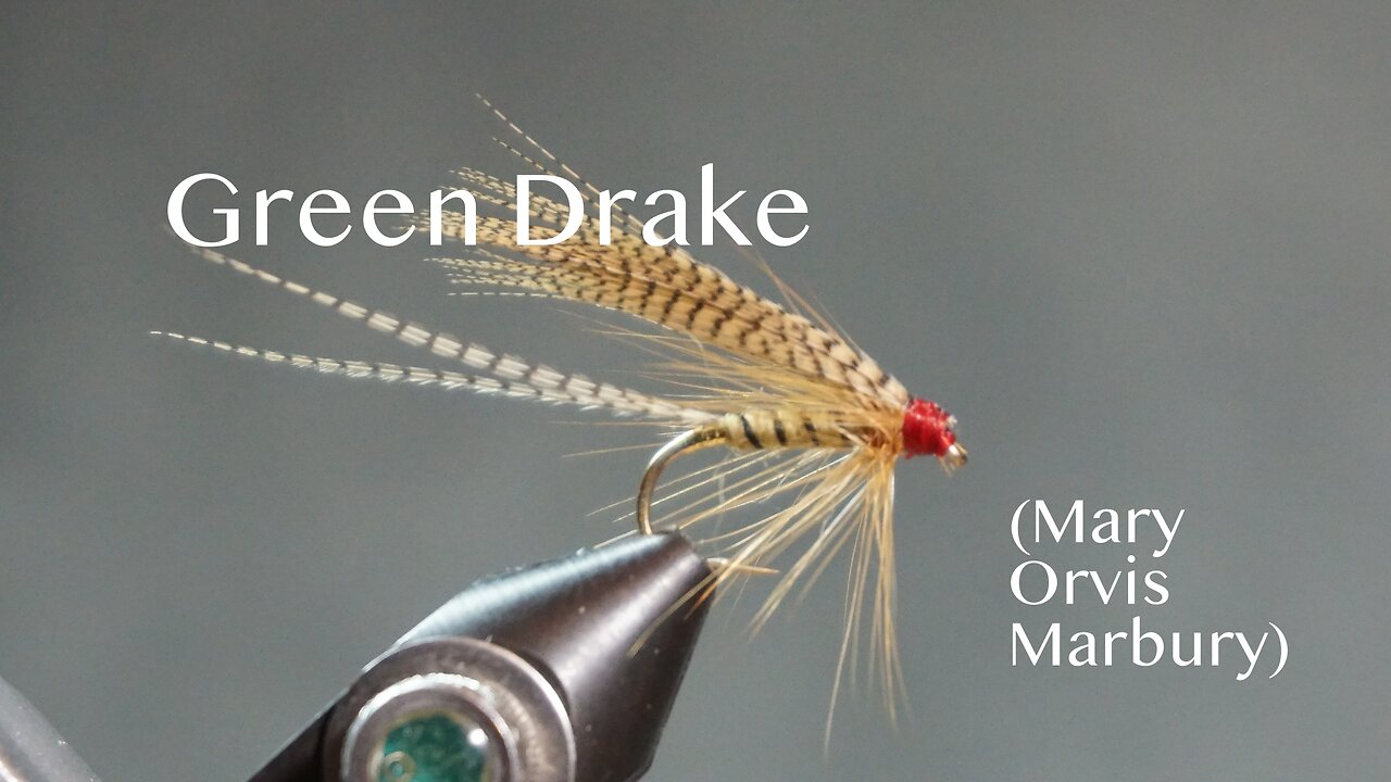 Green Drake (from Favorite Flies and Their Histories - 1892 by Mary Orvis Marbury)