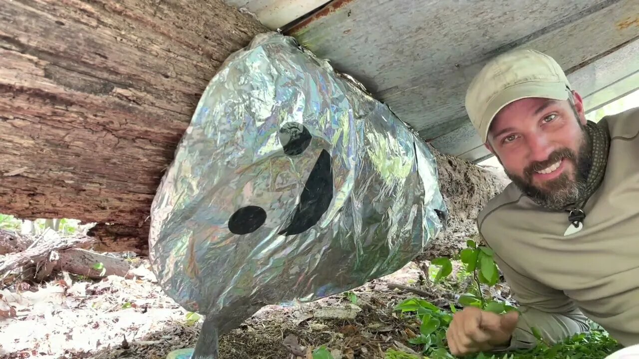 Building a Survival Shelter With One Tool