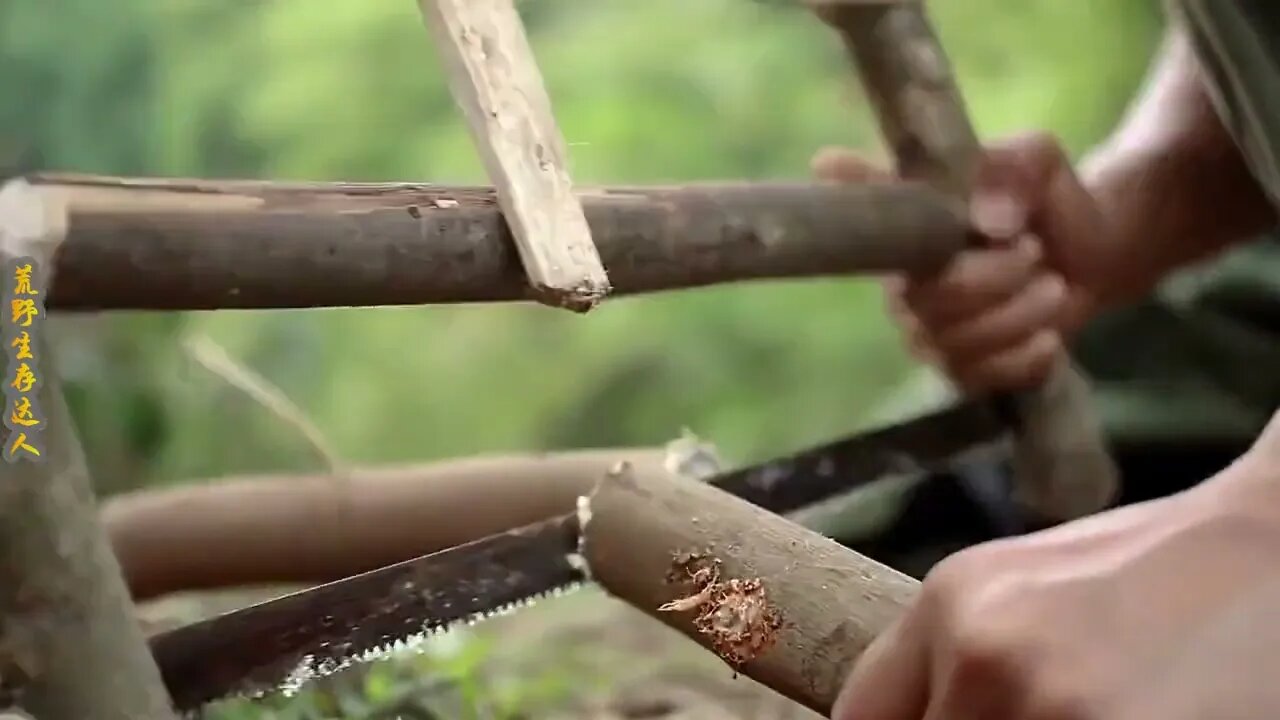 Man lives in the rain forest all year round and uses natural tree holes as shelter/Episode16