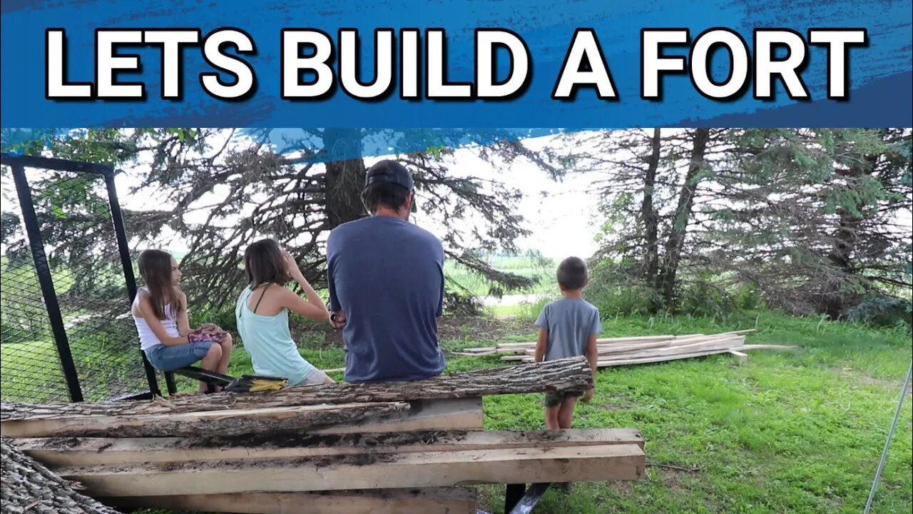 How Is Our Lycan Shepherd Progressing On Whole Prey? Building A Fort For The Kids In The Yard