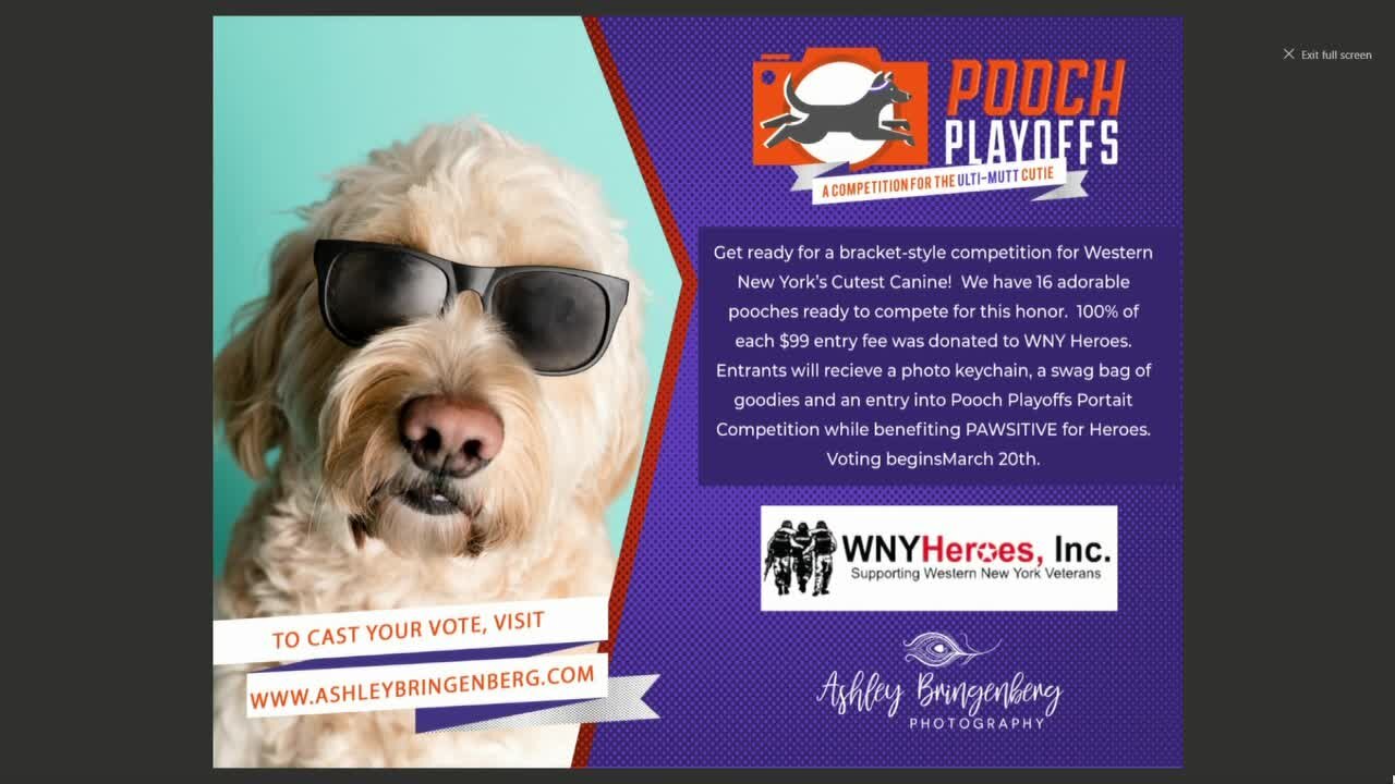 Local portrait photographer has unleashed the annual Pooch Playoffs National Competition and Fundraiser