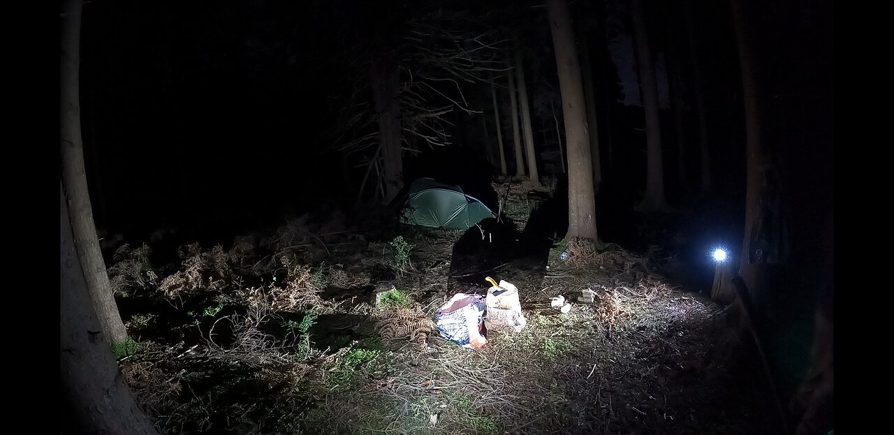 Chopping firewood. Nightlapse. 20th Jan 2023