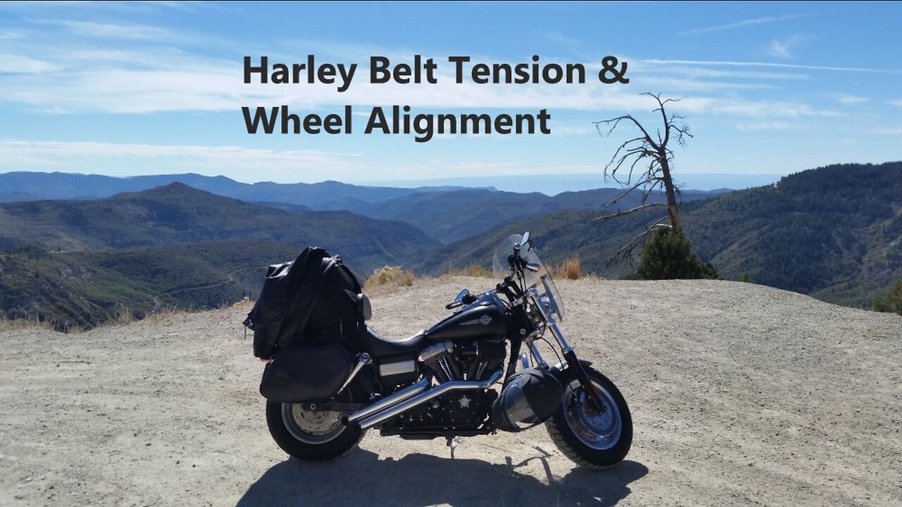 Harley Fat Bob Rear Wheel Alignment