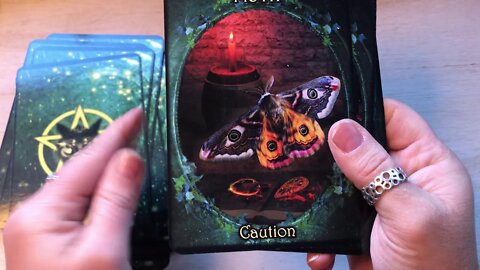 Unboxing Witches’ Familiars Oracle Cards by Barbara Meiklejohn-Free and Flavia Kate Peters