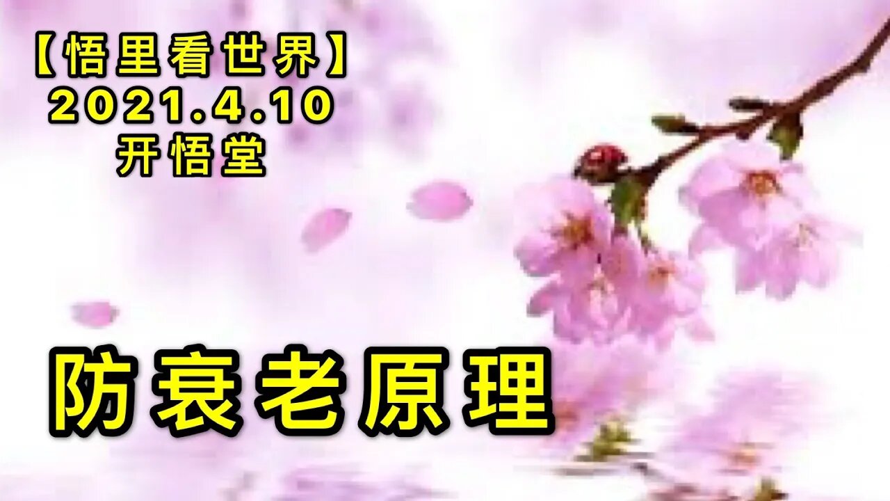 KWT1484防衰老原理20210410-4【悟里看世界】