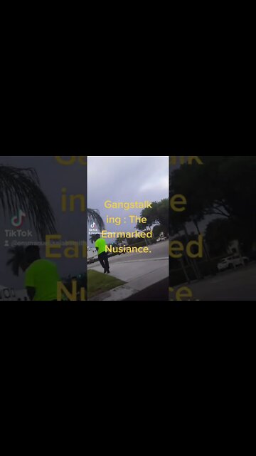 State-sanctioned Murder - Earmarks - Guantanamo Bay - Gangstalking (2)