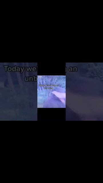 Every knife channel ever