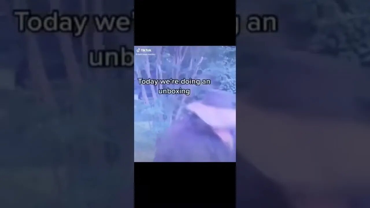Every knife channel ever