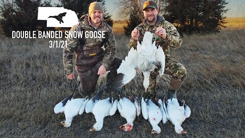 We Shot a Doubled Banded Snow Goose: Western Nebraska Waterfowl Hunting | Outdoor JACK