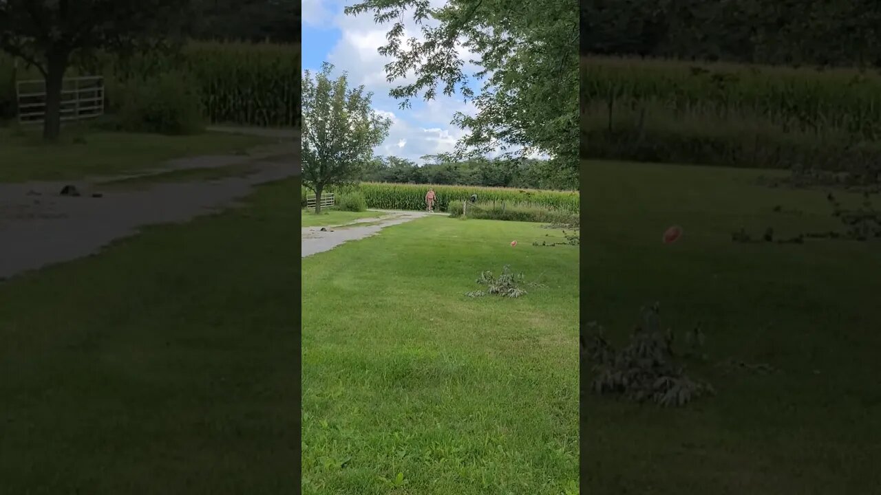 Crazy 🤪 old man Discus Throw practice for Senior Olympics