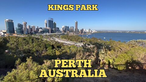 Exploring Perth Australia: A Walking Tour of Kings Park 2023