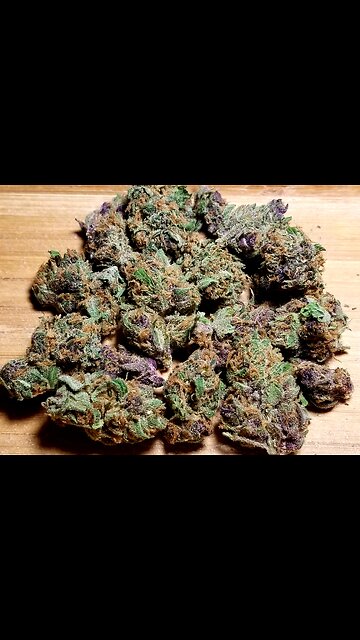 This Twn Ain't Big Enough For 2 Of US- NO to Big Canna