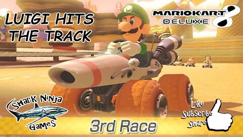 Luigi Hits The Track