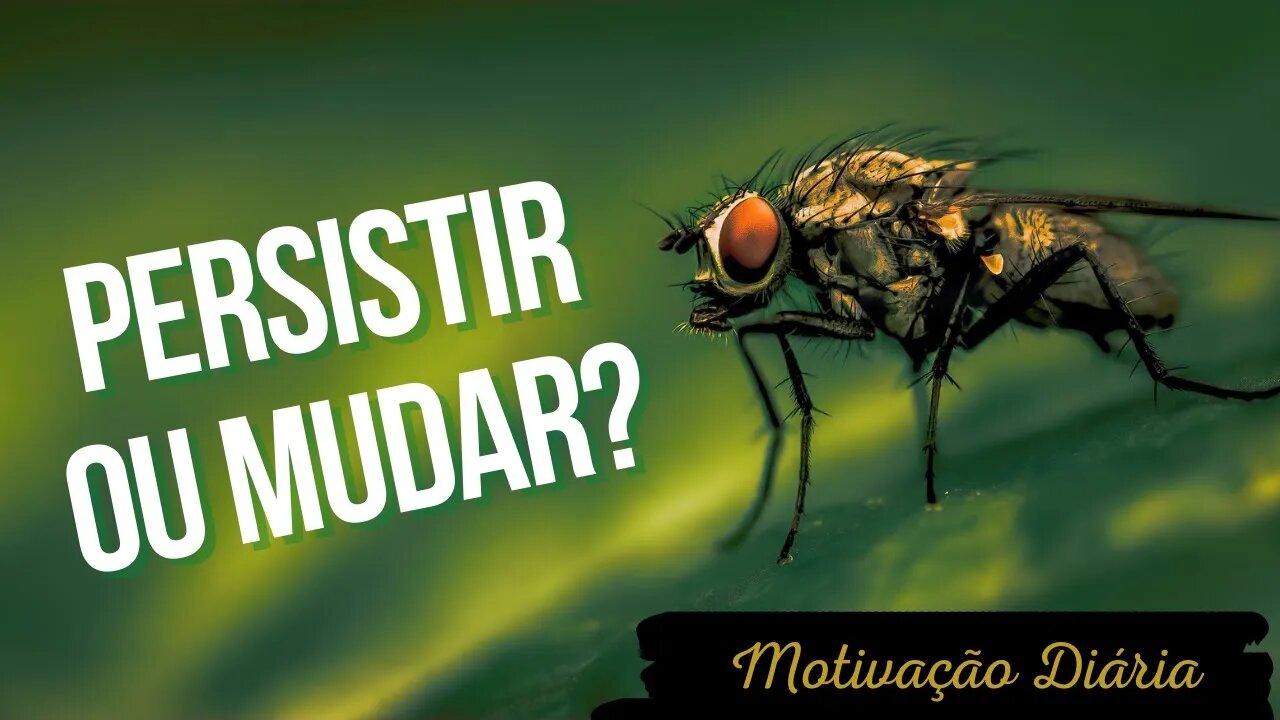 ASSISTA E MUDE SUA FORMA DE PENSAR: Persistência versus Mudanças