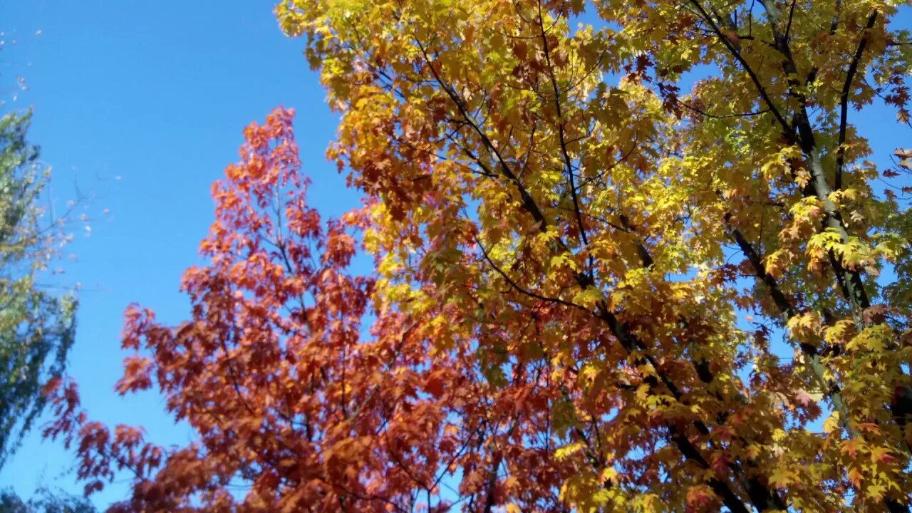 Z szuflady niemych myśli J.Leja Droga