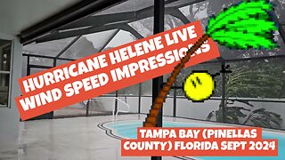 Hurricane Helene 2024 Live Wind Speed Impressions | Tampa Bay (Pinellas County) Florida