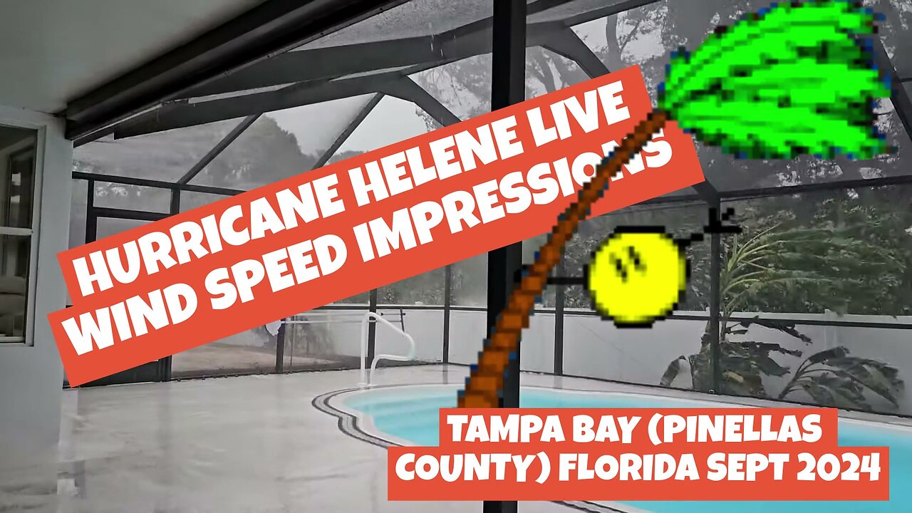 Hurricane Helene 2024 Live Wind Speed Impressions | Tampa Bay (Pinellas County) Florida