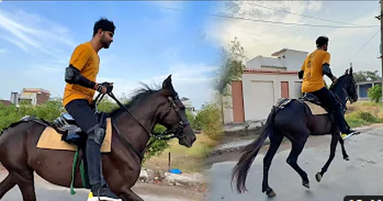 Finally Sabtain Ny Horse Riding Seekh Li😍