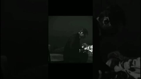 رسالة ڤان جوخ الأخيرة.
