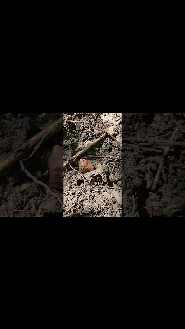 Deer Love This Stuff 🦌🦌🦌